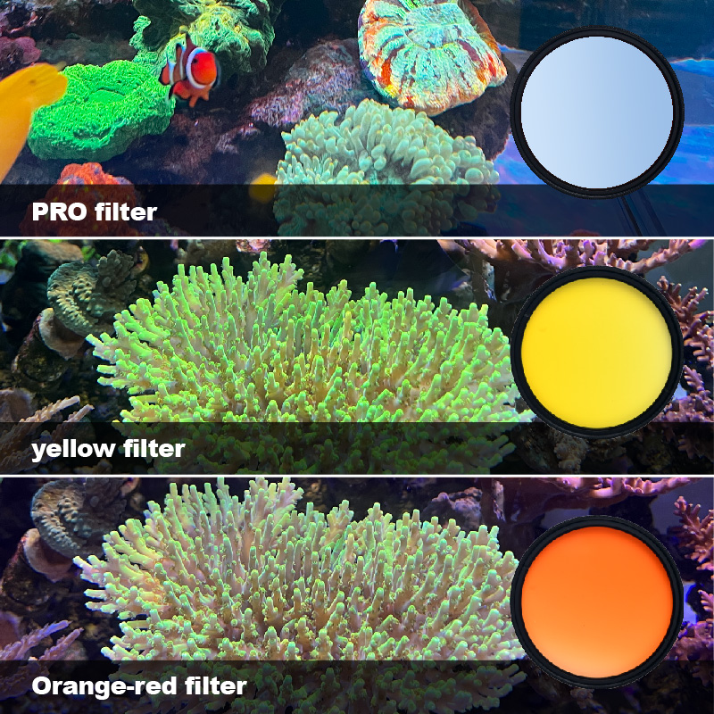Photo Develop Tank - Vastocean zeewateraquariumfilter zoutwater koraal aquarium foto