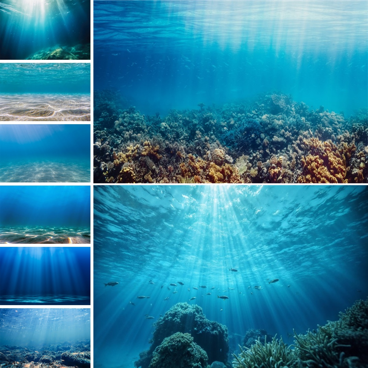 Blauwe onderwaterwereld achter - Photo Develop Tank recensie en prijs