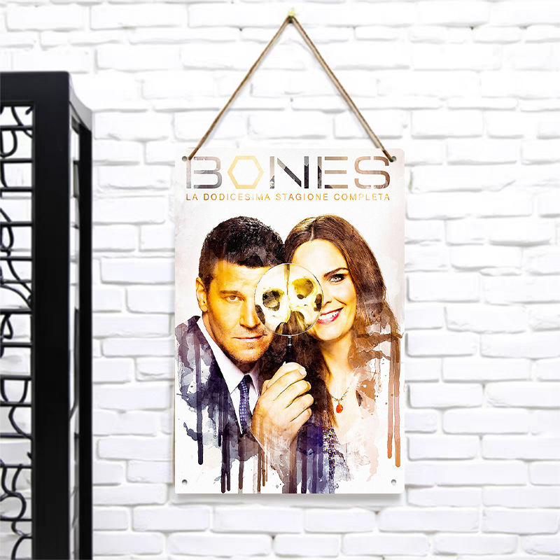Bones Seizoen 12 Poster Metale - Vintage Collectible Posters recensie en prijs