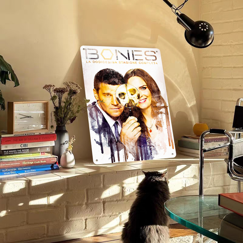 Bones Seizoen 12 Poster Metale - Vintage Collectible Posters recensie en prijs